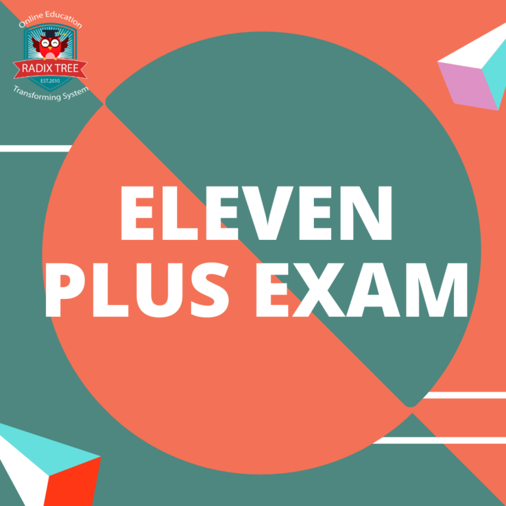 Eleven Plus Guides Archives - Radix Tree Online Tutoring & Training ...