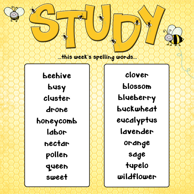 Spelling Bee For Kindergarten Kindergarten